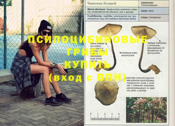скорость mdpv Новодвинск