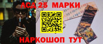 гидропоника Гусев