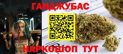 apvp Гатчина