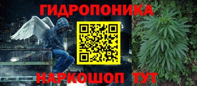 apvp Гатчина