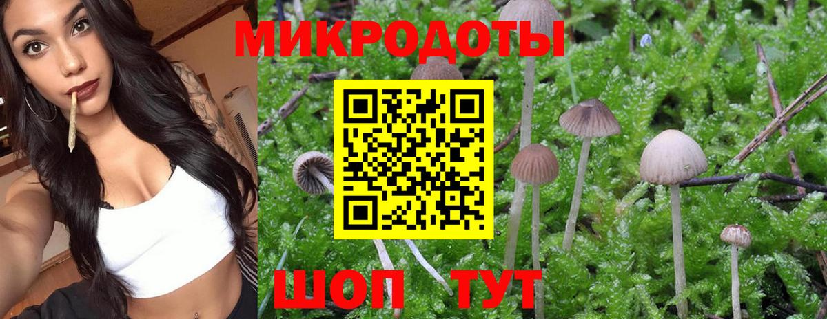 Галлюциногенные грибы MAGIC MUSHROOMS Кулебаки