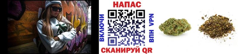 Каннабис семена  где купить   Кулебаки 